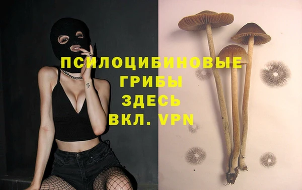 ECSTASY Армянск