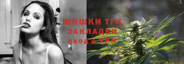 сатива Аркадак
