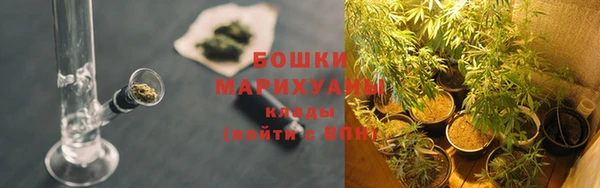 дмт Пестово