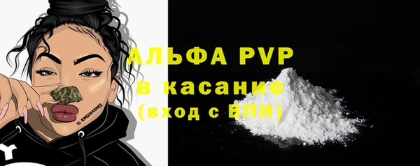сатива Аркадак