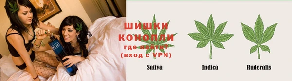 ECSTASY Армянск