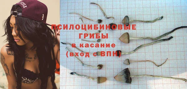 ECSTASY Армянск
