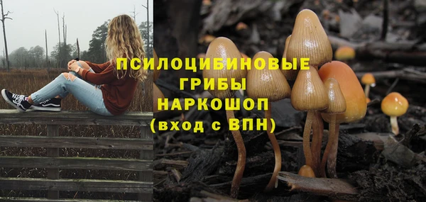 сатива Аркадак