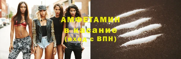 сатива Аркадак
