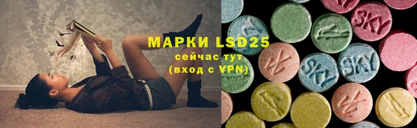 сатива Аркадак