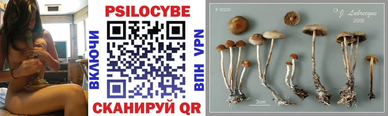 Псилоцибиновые грибы MAGIC MUSHROOMS  Багратионовск 