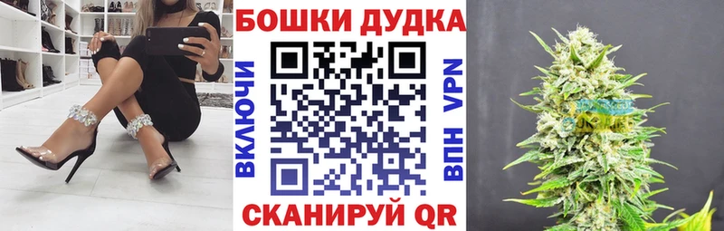 как найти   Багратионовск  Каннабис VHQ 